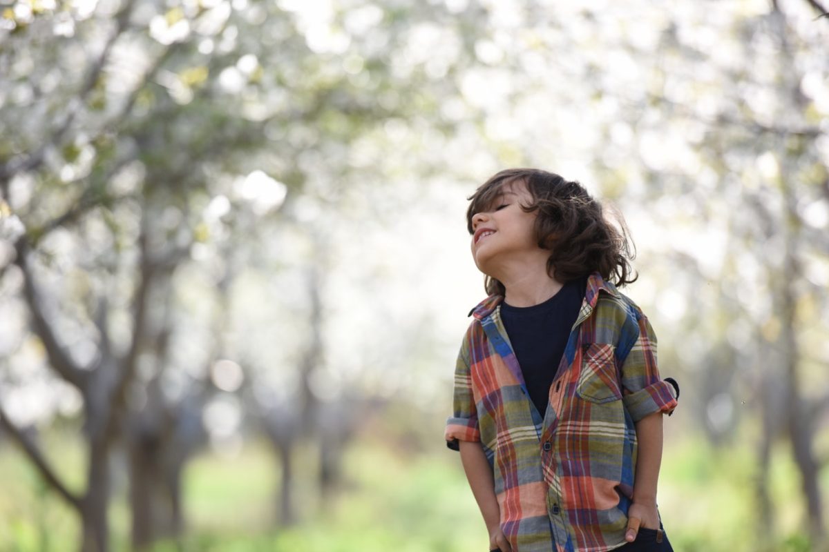 明るい日差しの公園にいる男の子